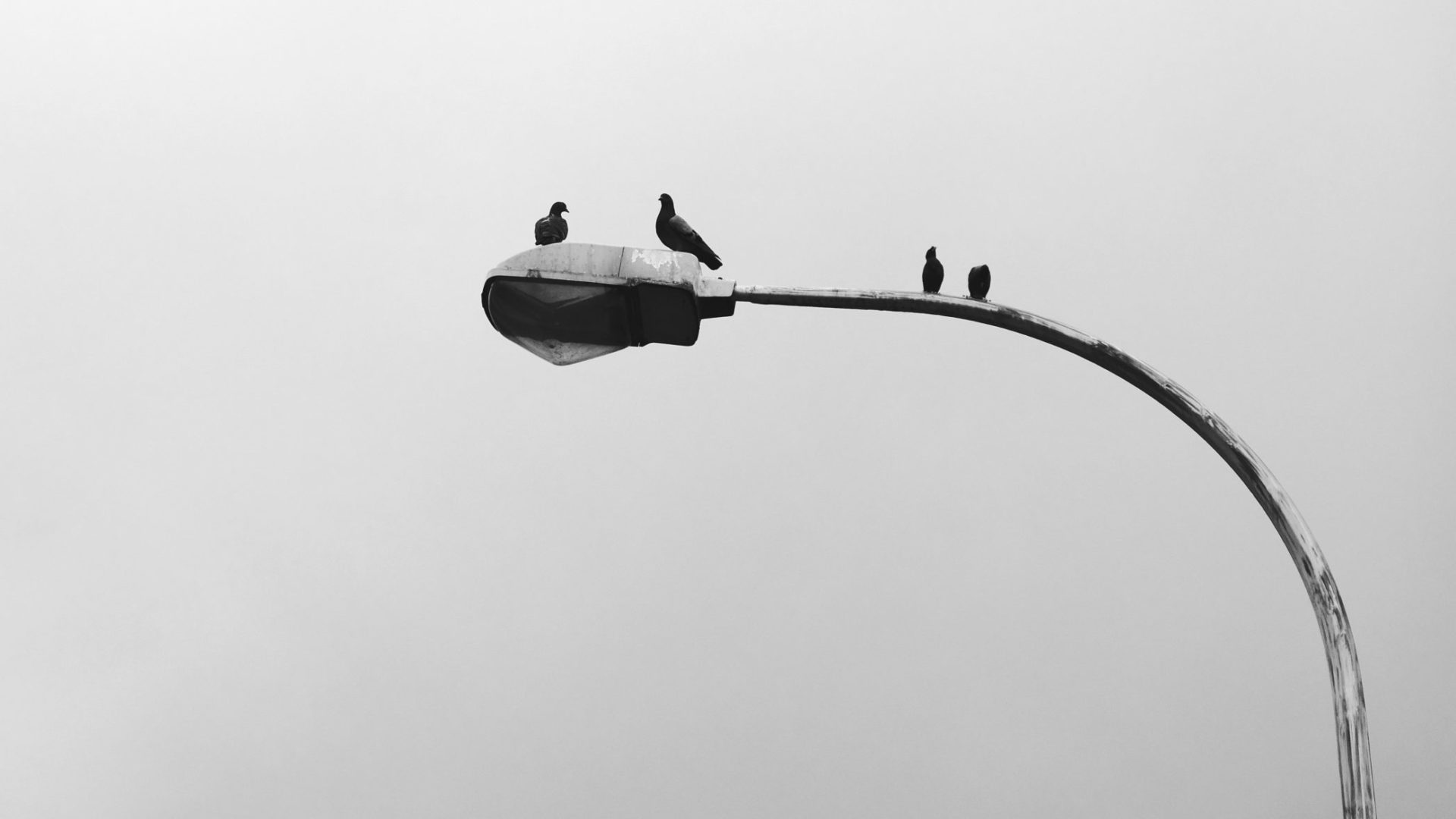 CM de Coimbra adjudica eficiência da iluminação pública à PreZero Portugal por 14 M€