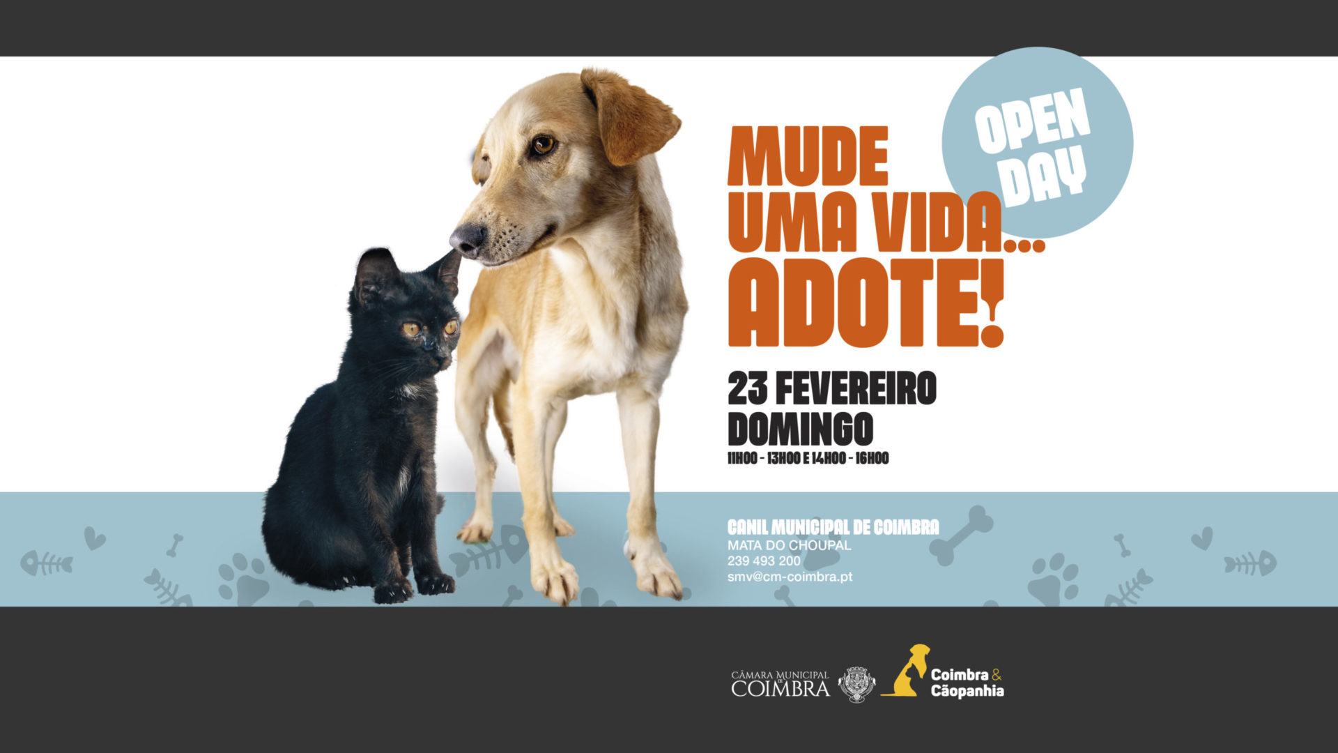 Canil Municipal promove adoção responsável com mais um “Open Day” no próximo domingo