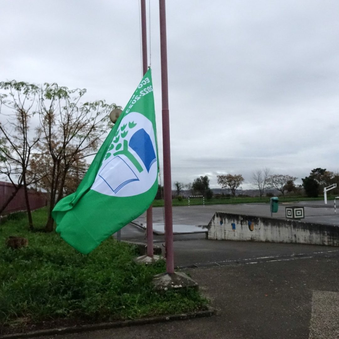 CM de Coimbra apoia inscrição de 35 estabelecimentos no Eco Escolas 2024/25