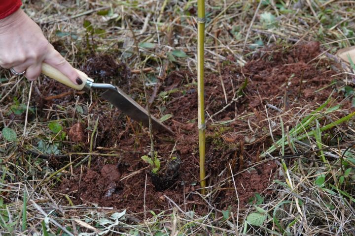 468351572_875293291448541_4448366199672323107_n