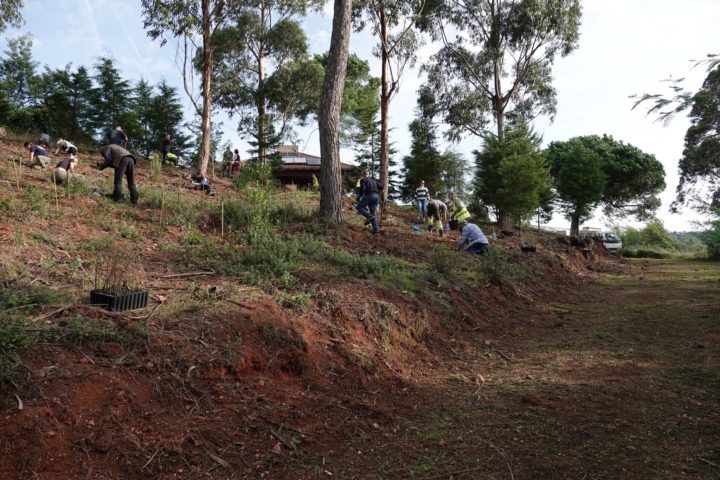 468364767_875292784781925_74477098889303051_n