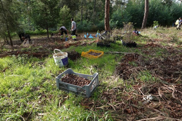 468398090_875292898115247_3983591853854396301_n