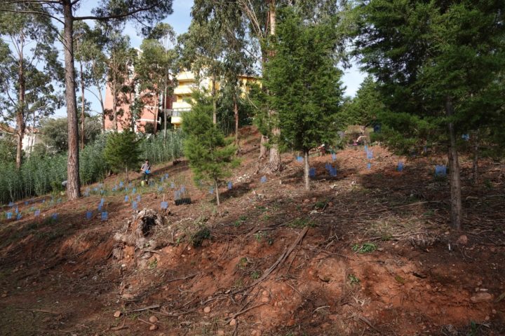 468423271_875293468115190_7858816748846834261_n