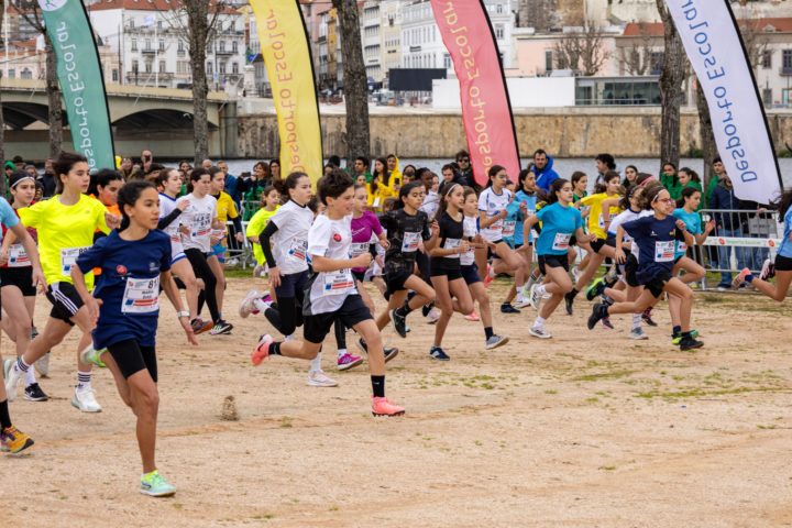 DL-321-1547shootZ (Custom)