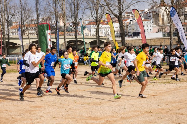 DL-321-2047shootZ (Custom)