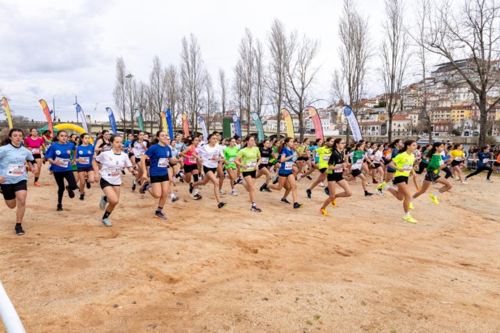 DL-321-3047shootZ (Custom)