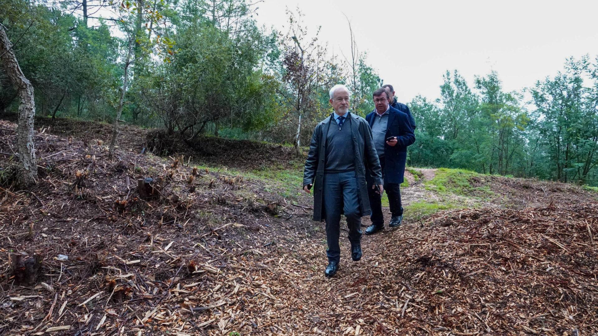 CM de Coimbra efetua manutenção florestal na zona da Quinta da Maia