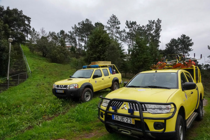 Desmatações e Gestão Florestal na Quinta da Maia (5)