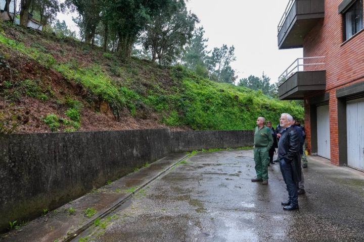Desmatações e Gestão Florestal na Quinta da Maia (7)