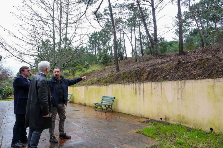 Desmatações e Gestão Florestal na Quinta da Maia (8)