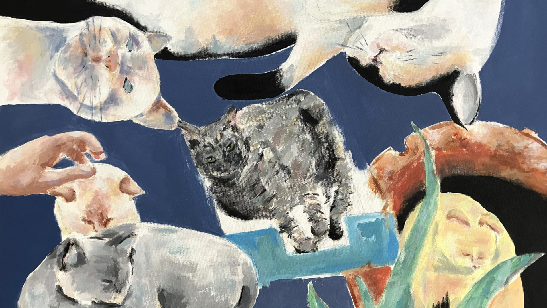 Mostra de alunos de Arte e Design da Escola Superior de Educação inaugura na Galeria Almedina a partir de dia 28 de março