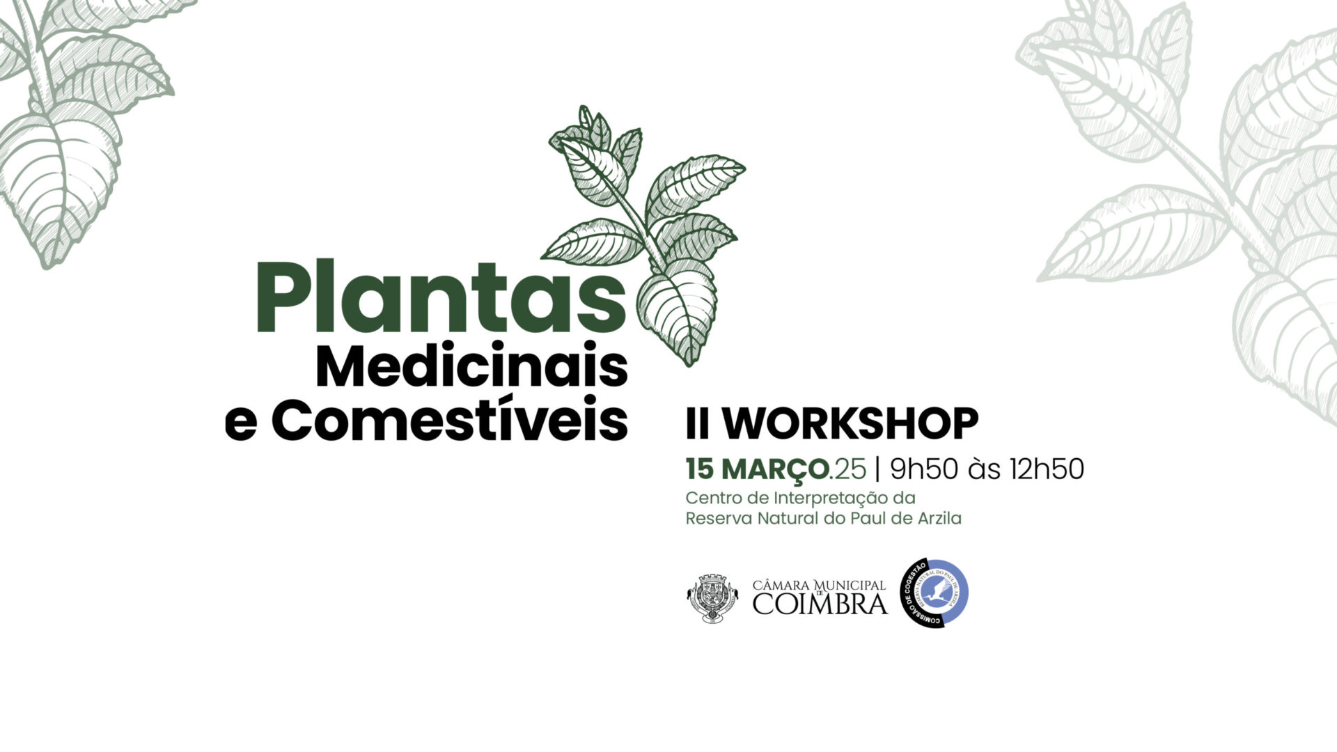 CM de Coimbra promove 2º workshop sobre plantas comestíveis e medicinais no dia 15 de março