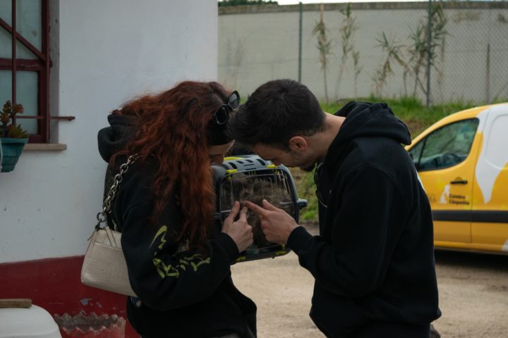 Canil Municipal promove adoção responsável com mais um “Open Day” no próximo domingo (2)