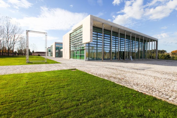 IMG_5974TP-1620x1080