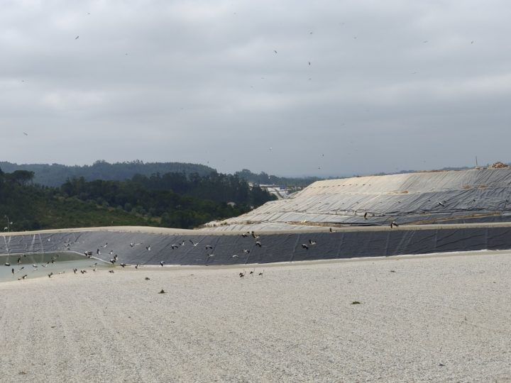 Imagem WhatsApp 2025-03-26 às 15.00.48_f91f0b77