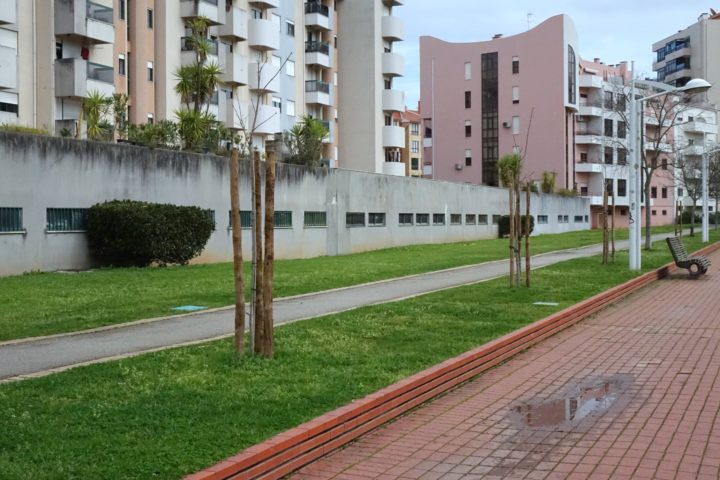 Plantações Parque Linear Vale das Flores (7)