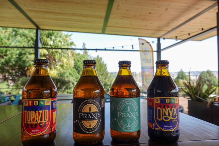 Apresentação Praxis Beer Fest (51)