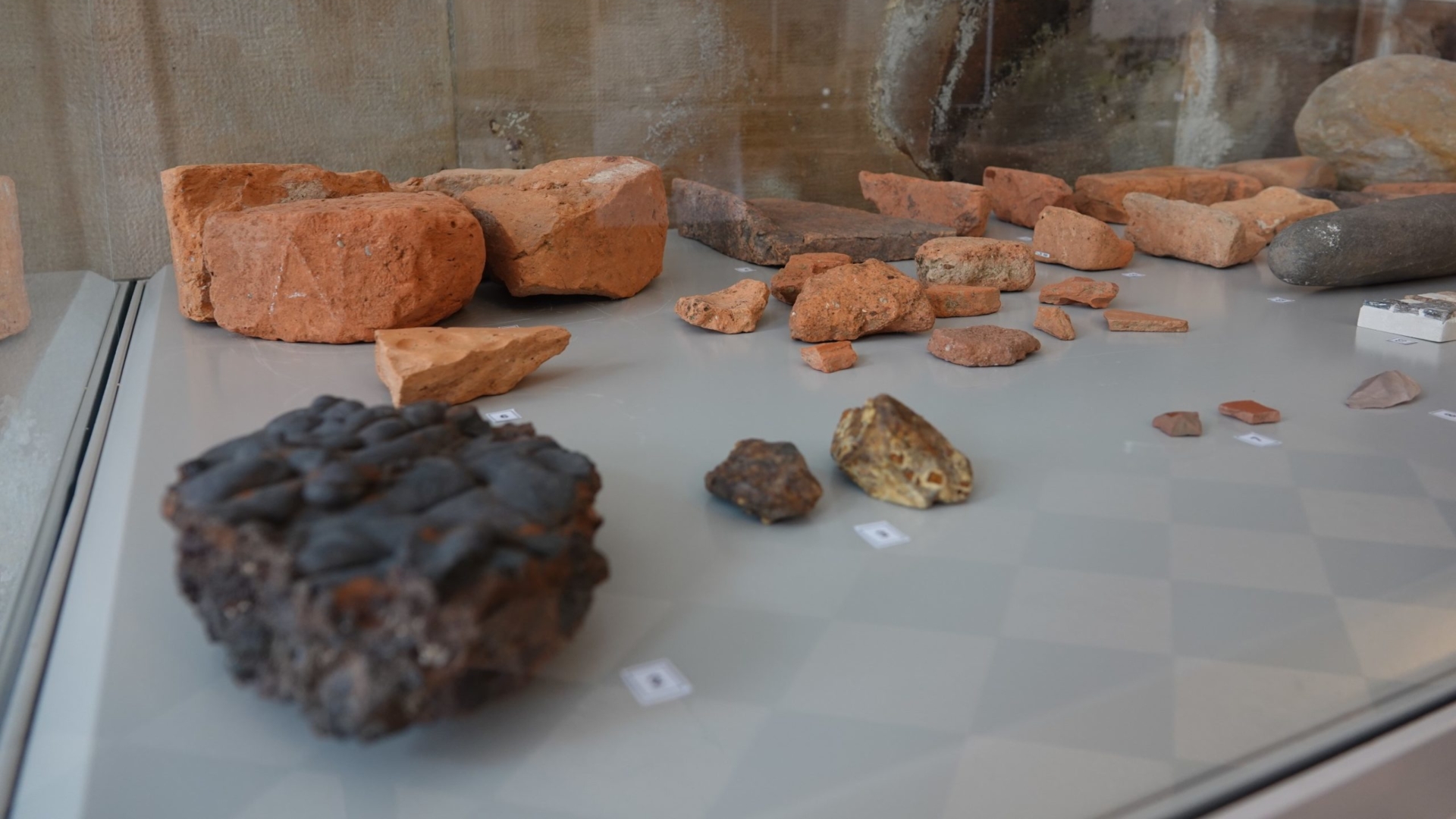 CM de Coimbra recebe valiosa doação de espólio arqueológico com mais de 800 peças