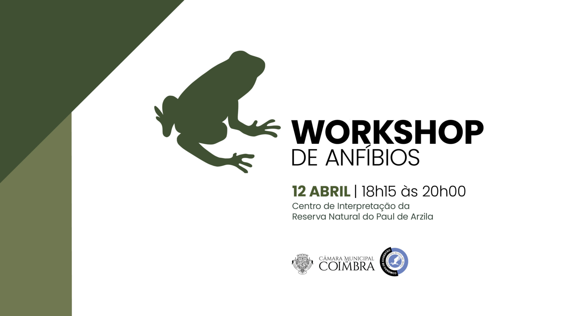 Inscrições aberta para workshop sobre anfíbios a 12 de abril na Reserva Natural do Paul de Arzila