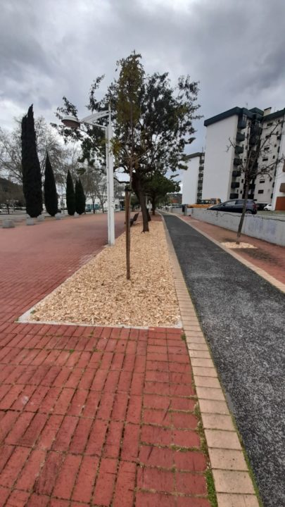 parque linear vale flores