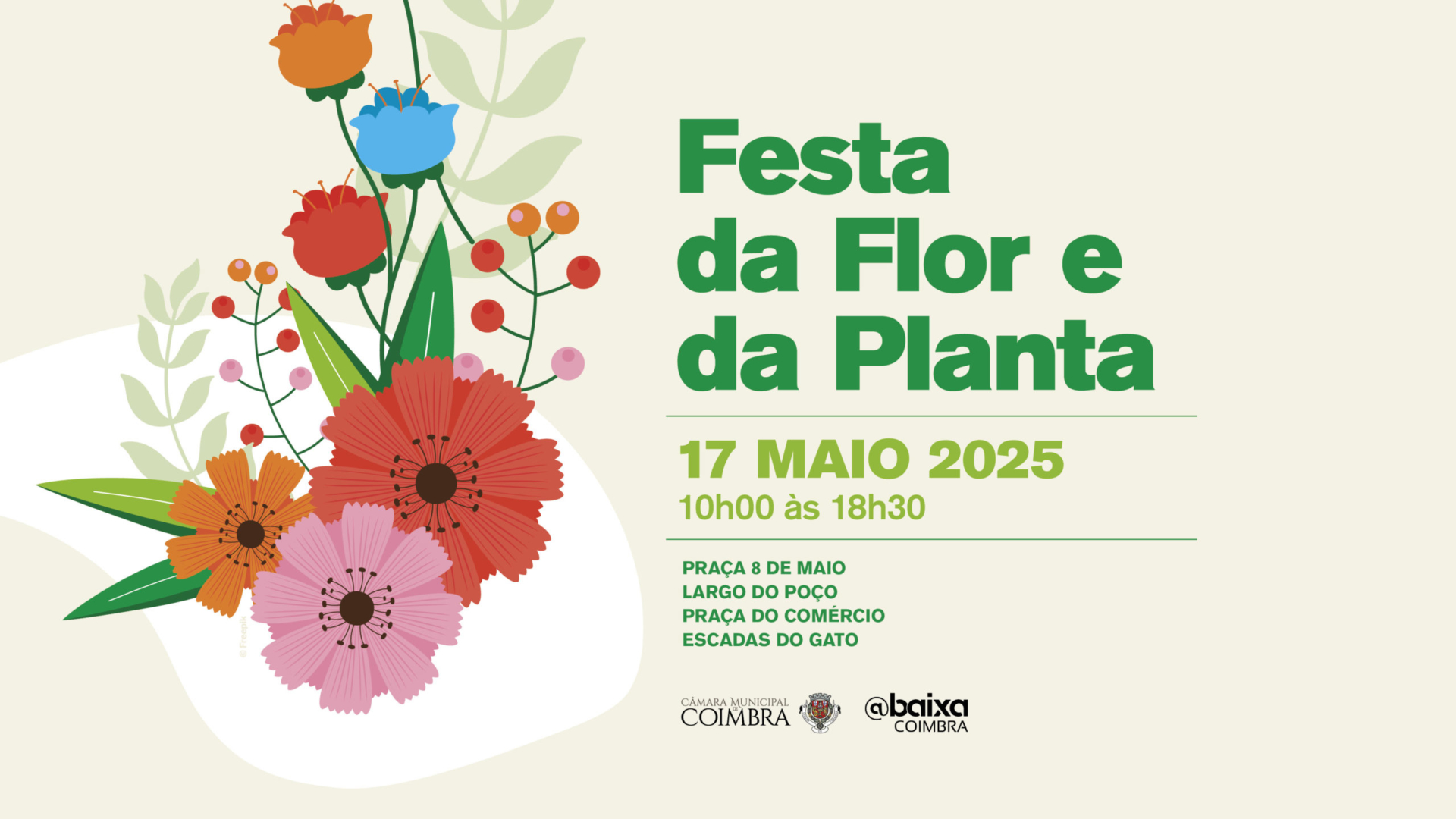 Festa da Flor e da Planta vai colorir a Baixa de Coimbra no próximo sábado