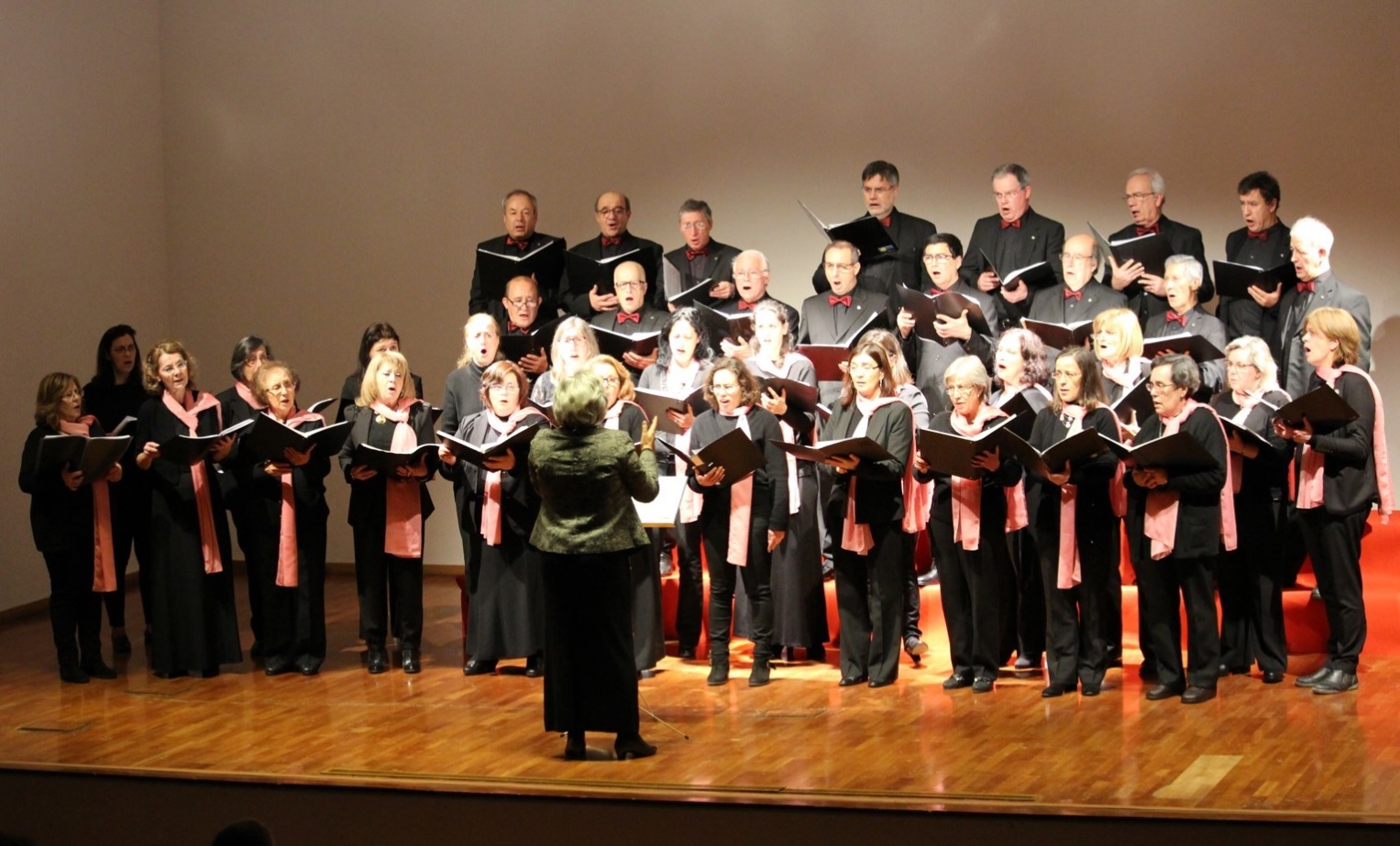 CM de Coimbra dá parecer favorável ao reconhecimento de utilidade pública do Coro D. Pedro de Cristo