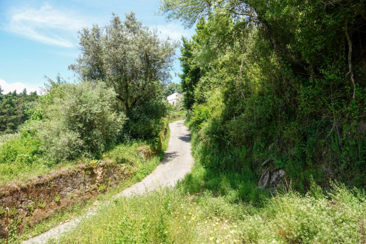 Consignação - Rua da Fonte do Calvo (52)