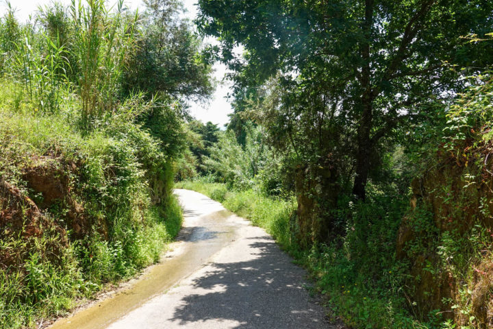 Consignação - Rua da Fonte do Calvo (59)