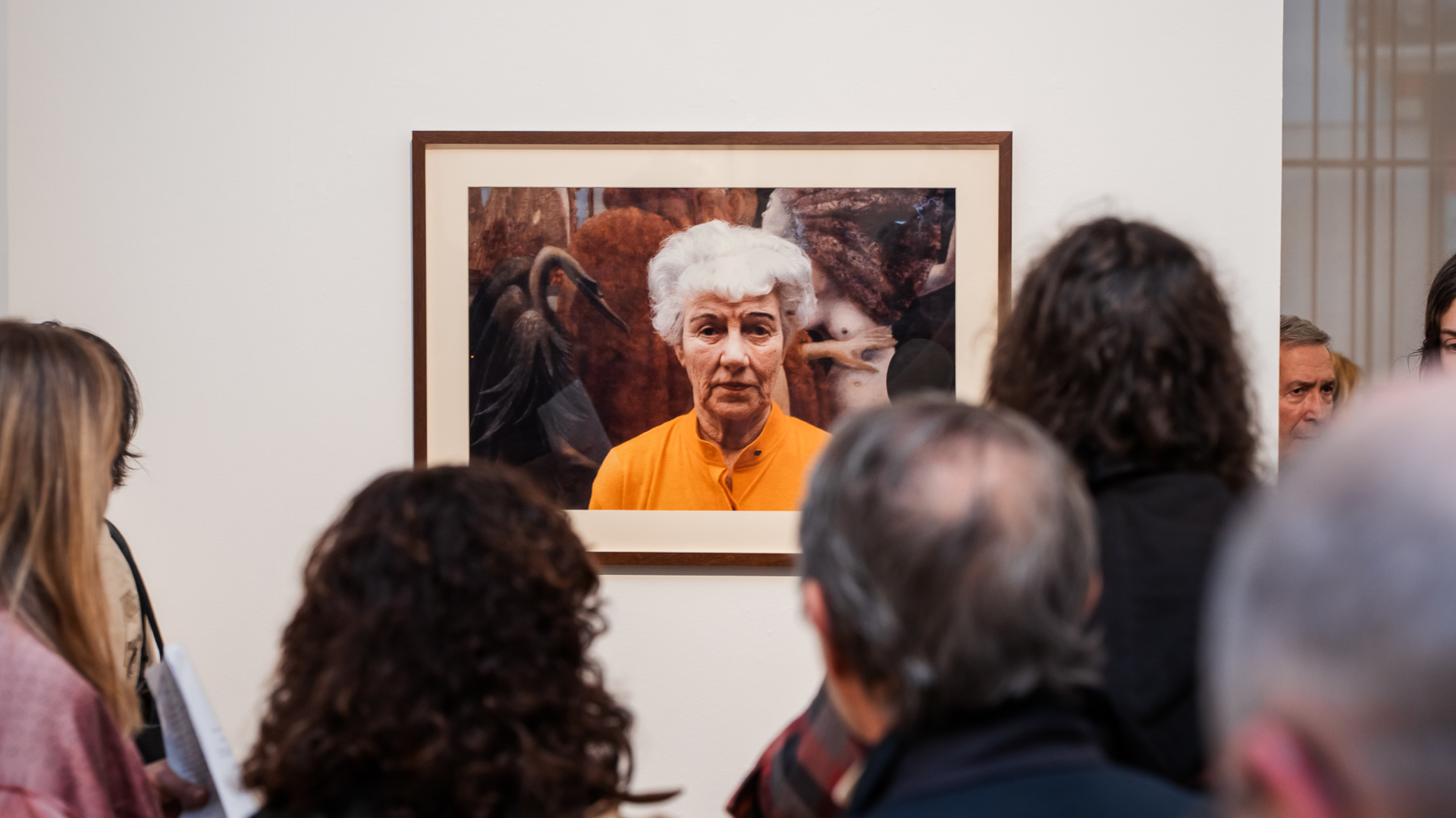 Museu Municipal celebra Noite Europeia e Dia Internacional dos Museus com entradas gratuitas