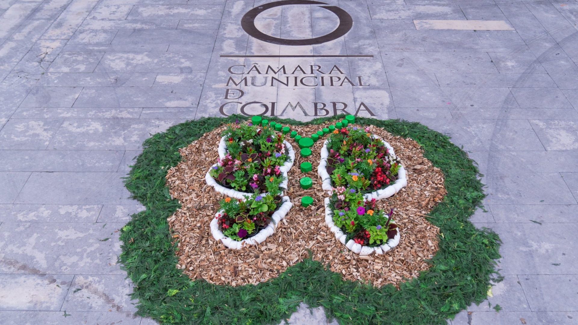 Festa da Flor e da Planta trouxe à Baixa de Coimbra tapetes floridos, animação e inúmeros visitantes