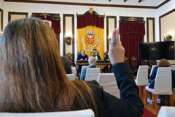 Hasta pública Mercado 1 (Personalizar)