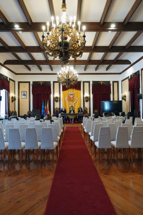 Hasta pública Mercado VERTICAL (Personalizar)