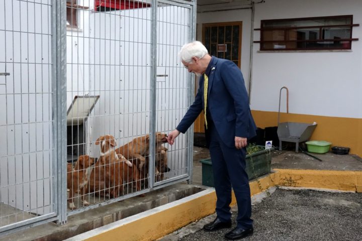 Inauguração expansão CanilGatil (7)