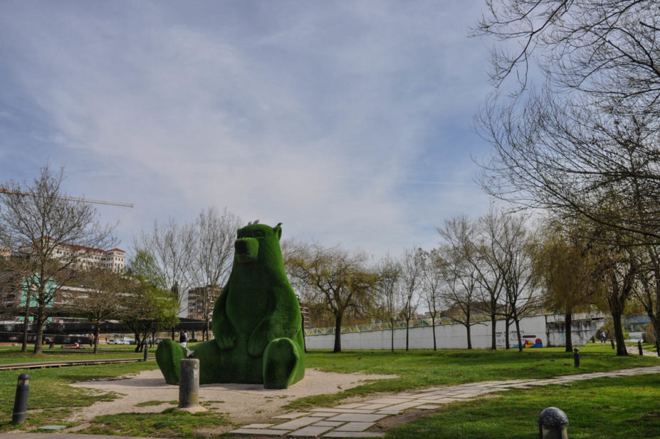 Rastreio à obesidade este domingo no Parque Verde do Mondego