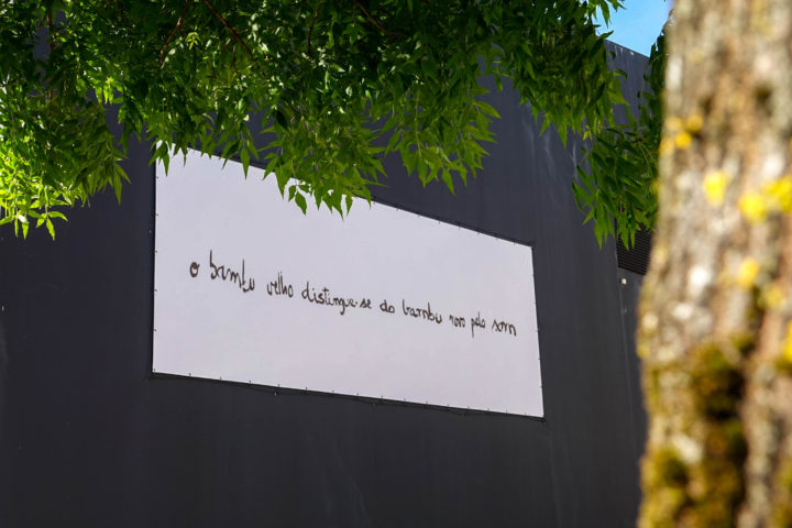 Projeto “Outdoor ’25” (9)