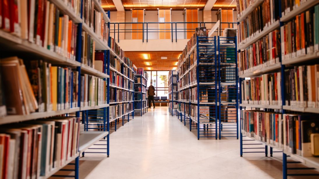 Projeto de Regulamento da Rede Municipal de Leitura de Coimbra segue para consulta pública