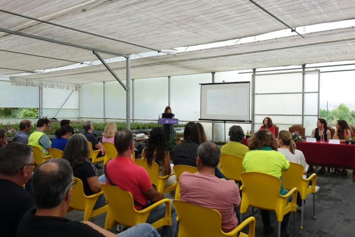 Seguramça e Saúde no Trabalho (13)