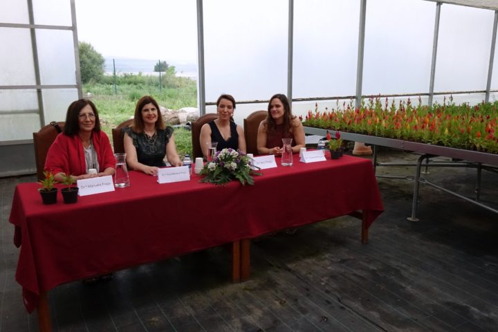 Seguramça e Saúde no Trabalho (2)