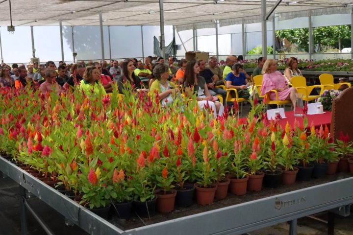 Seguramça e Saúde no Trabalho (20)