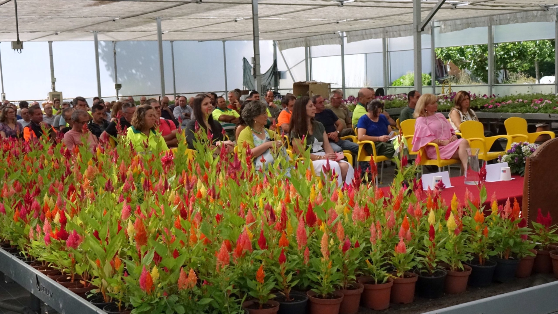 CM de Coimbra assinala pela 1ª vez o Dia Mundial da Segurança e Saúde no Trabalho