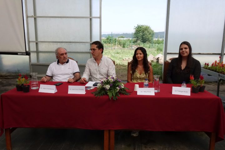 Seguramça e Saúde no Trabalho (22)