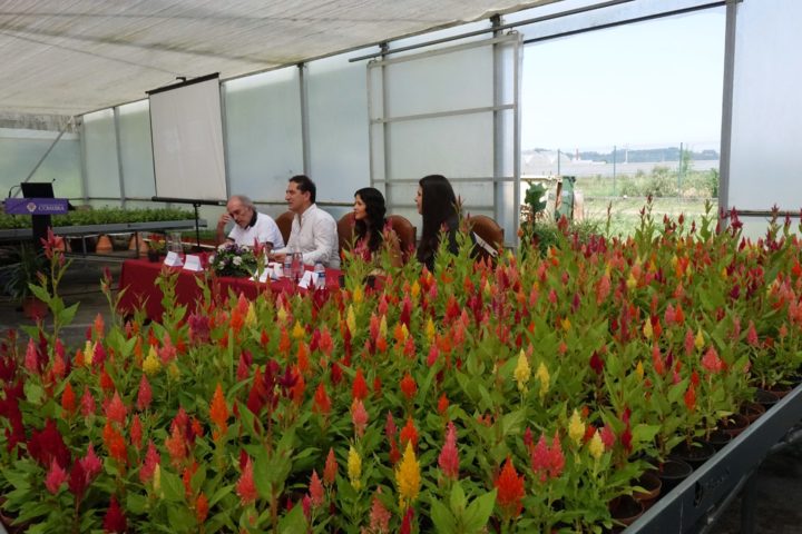 Seguramça e Saúde no Trabalho (23)