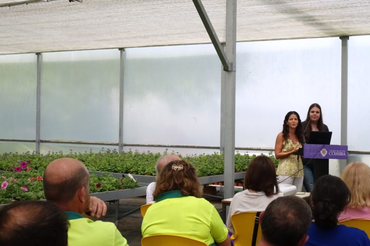 Seguramça e Saúde no Trabalho (29)