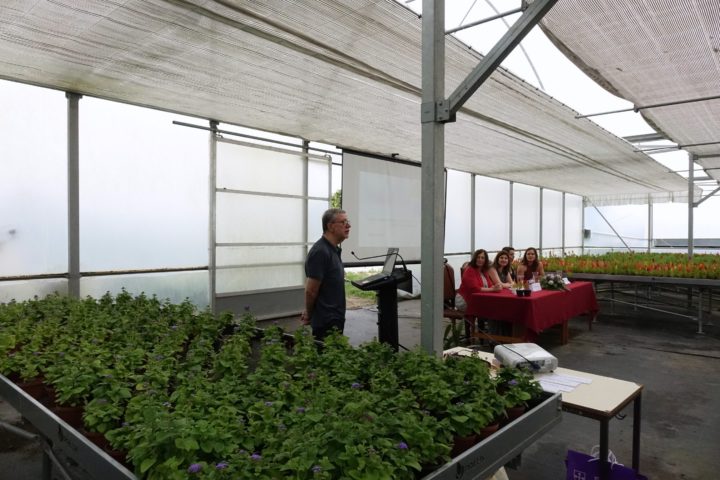 Seguramça e Saúde no Trabalho (5)