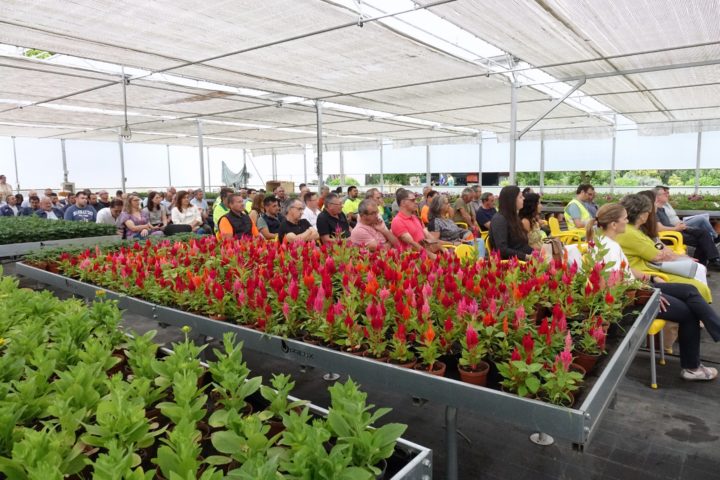 Seguramça e Saúde no Trabalho (9)