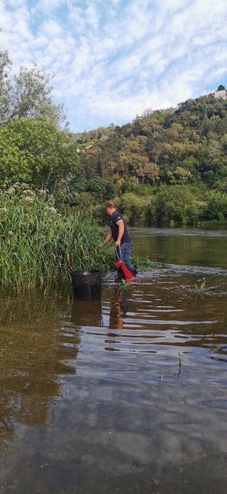 WhatsApp Image 2025-05-02 at 11.29.00 (3)