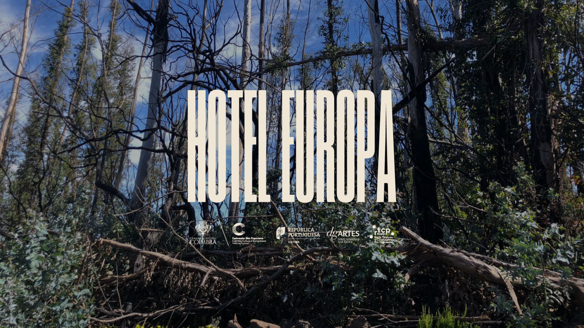 Companhia Hotel Europa desenvolve projeto “Terra de Fogo” em Coimbra sobre incêndios florestais