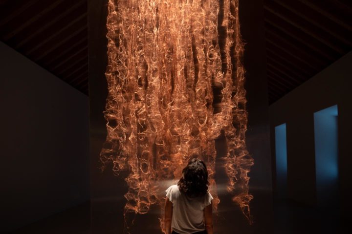 489503112_1165744358897671_1877770579190617116_n