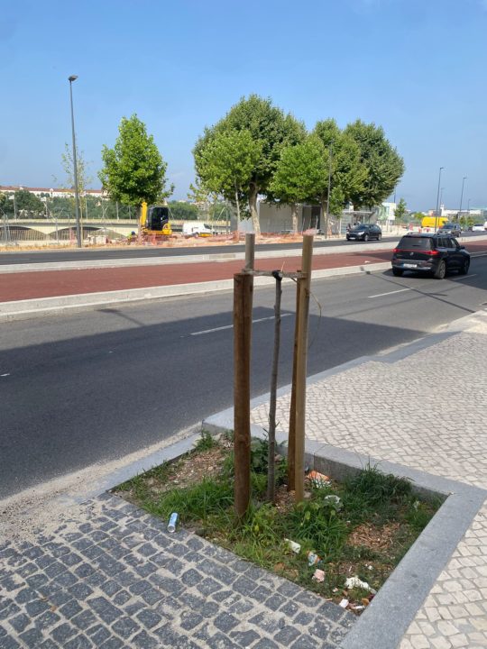 WhatsApp Image 2025-06-23 at 16.44.33 (1)