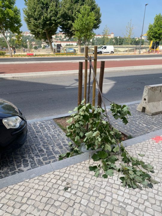 WhatsApp Image 2025-06-23 at 16.44.33 (2)